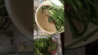 Обожаю май вот за это