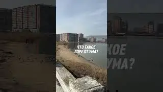 Горе от ума (читай описание)