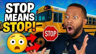 Stop Means STOP! Watch These Cars Break the Law 🚨