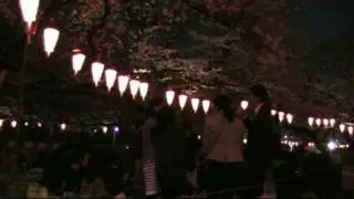 #6 Constantine In: Ueno Koen - Sakura at Night