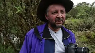 Al rescate del oso de anteojos