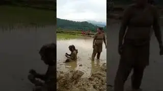 funny moment in paddy field.😀#Short #