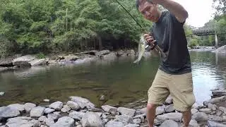 Fishing SWALLOW FALLS in MD