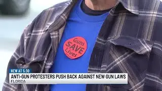 Gun advocates and protesters debate Florida legislation that would lower gun purchase age to 18