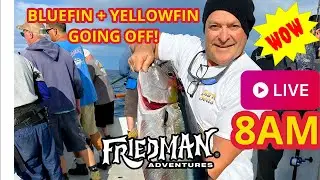 LIVE TOMORROW 8 AM: Phil Friedman from the MIDDLE of the Bluefin & Yellowfin BITE ZONE! | Day 7