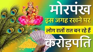 Keeping a peacock feather in this place in your house will make you a millionaire overnight | Vas...