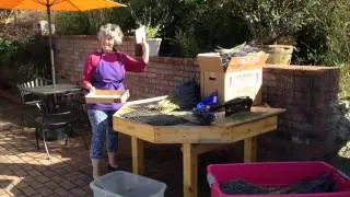 Making Lavender Bundles