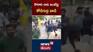 Kodali Nani | TDP | YSRCP | Gudivada | Telugu News | AP News | #shorts | News18 Telugu
