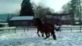 VIDEO_012.mp4