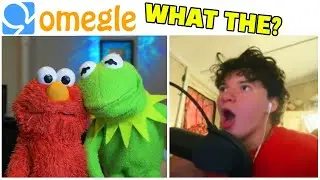 Elmo & Kermit Make Awkward New Friends on OMEGLE!