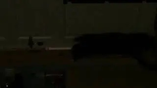 Katten min &aring;pner d&oslash;rer.