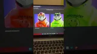 FREE MINT NFT 2023 HAMSTER
