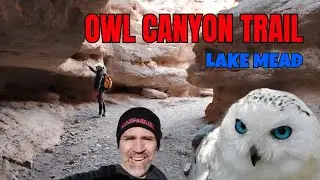 Owl Canyon Trail Hike &mdash; Hidden Gems by Lake Mead!🌄