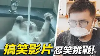 【搞笑貓影片忍笑挑戰！他是怎麼了！】志銘與狸貓