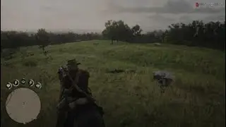 Red Dead Redemption 2