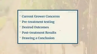 Rooted in Quality: How Soil Biology Drives Soil and  Vineyard Health