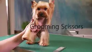 Pet Grooming Products from Pet Dedicated