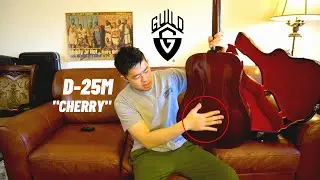 1973 Guild D-25M 