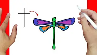 HOW TO DRAW A DRAGONFLY