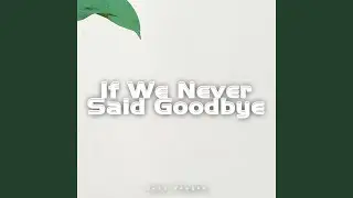 If We Never Said Goodbye