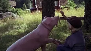 Michel aus L&ouml;nneberga Filme 3 - Part 02 HD Deutsch