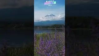 FUJI Mountain In Japan - Feel The World | Nature Beauty Status 4K Videos For Stress Relief