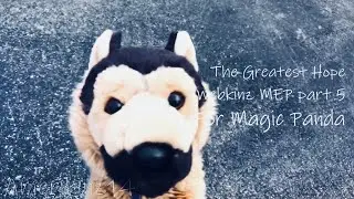 The Greatest Hope Webkinz MEP part 5 for Magic Panda