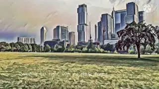 Urban Fields - Andy Oop