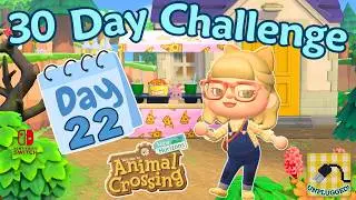 🎥 30 Day ACNH Challenge Day 22 | Building an Outdoor Movie Theatre in Animal Crossing New Horizons