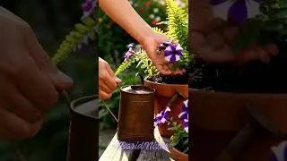 Gardening in Your Home Garden  #relax #relaxing #history #slowliving  #HomeGardening #GreenThumb