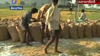 Agriculture In Mahabubnagar District Remains A Question Because Of Inept Officials