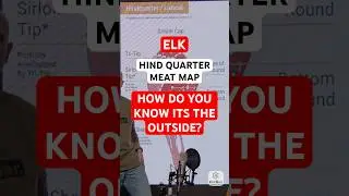 Elk - Hind Quarter - Meat Map - How do you know its the outside? #shorts #hunting #elk #bear #deer