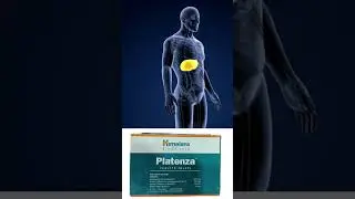 Himalaya Platenza Tablet | प्लेटलेट्स को बढ़ाती है | डेंगू ,मलेरिया जैसे बुखार में उपयोगी #ytshorts
