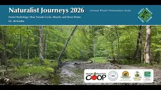 Naturalist Journeys 2026: Forest Hydrology: How Forests Cycle, Absorb, and Store Water LIVE