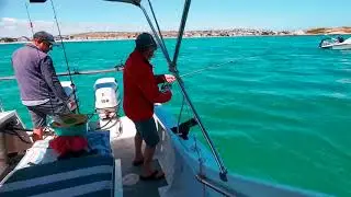Langebaan Lagoon fishing October '21 on Dream Catcher Charters