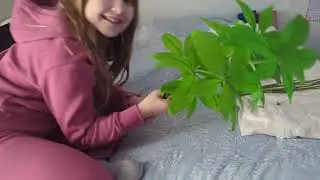 Crafting Floral