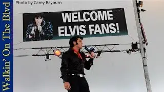 Chris Connor sings 'If I Can Dream' at Elvis Week 2012 (video)
