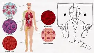 ABRAHAM HICKS COMMAND YOUR CELLS BECOMING A SUPER HUMAN BEING RARE RECORDING