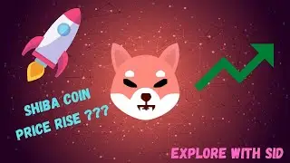 #explorewithsidd #Cryptocurrency #TopAltcoin #Crypto SHIBA INU WILL RISE AGAIN
