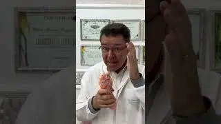 Aprenda como colocar um PONTO FINAL nas dores nas pernas!