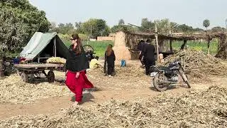 Visiting Liaqat pur village life making sugar from sugarcane 