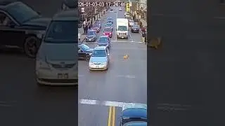 Cat Stops All Traffic at Busy Intersection