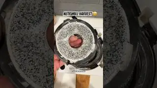 Взгляните поближе на мельницу NutriMill Harvest Mill! Из зерна в муку за секунды! 🤩