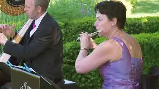 Just Two Flute and Harp Duo