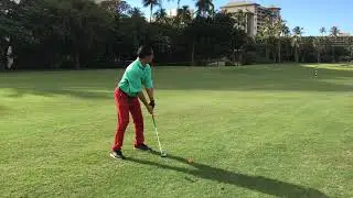 SlotShot Training Demo - 5-Hybrid