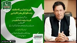 How to Apply Tiger Force for Volunteers | Coronavirus | 2020 | Kamyab Jawan Programme | HEC |