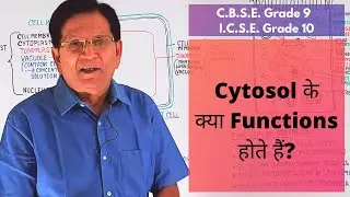 Functions of Cytosol || Grade 9 & 10 Biology
