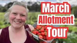 March Allotment tour 2022: Winter gardening