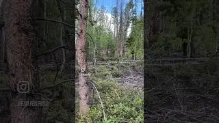 Our house project just evolved from “demo” to “opportunity with great potential” #mountainlife