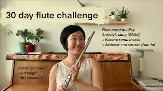 30 day flute challenge. I tried to teach myself flute and here’s what happened. Adult beginner.